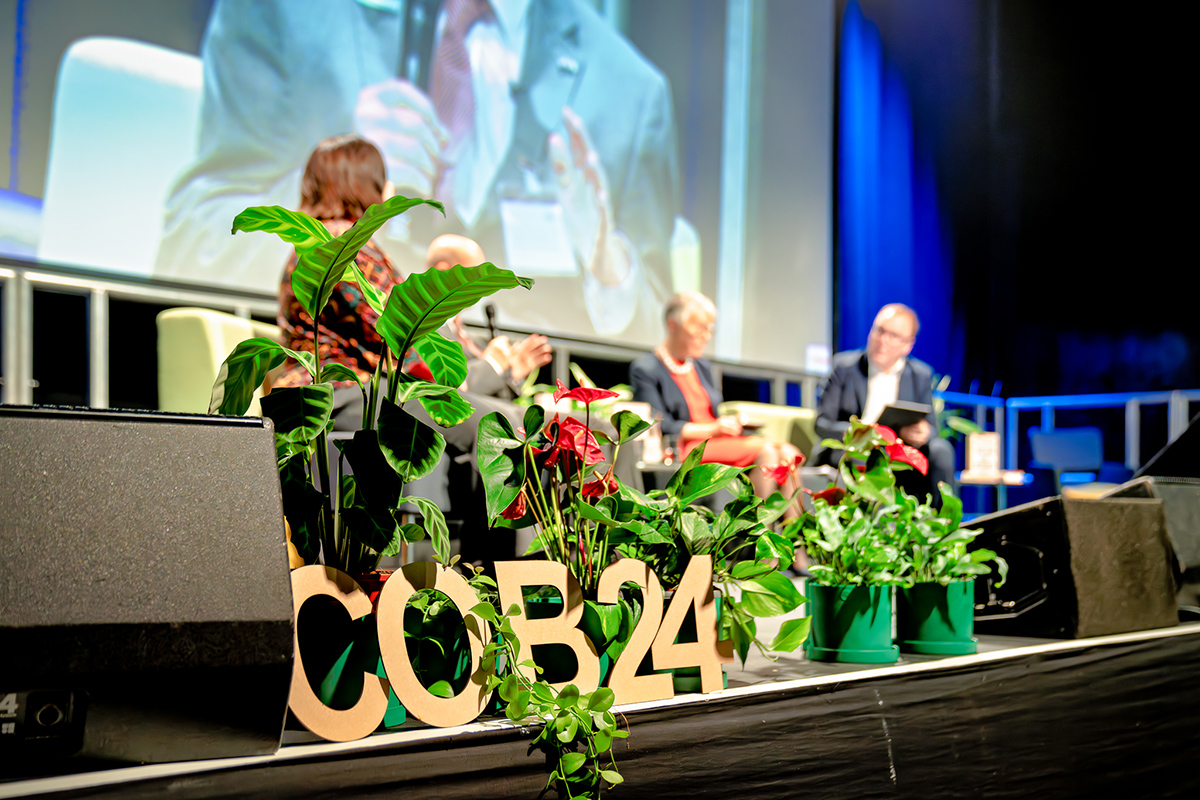 COB 2024 2