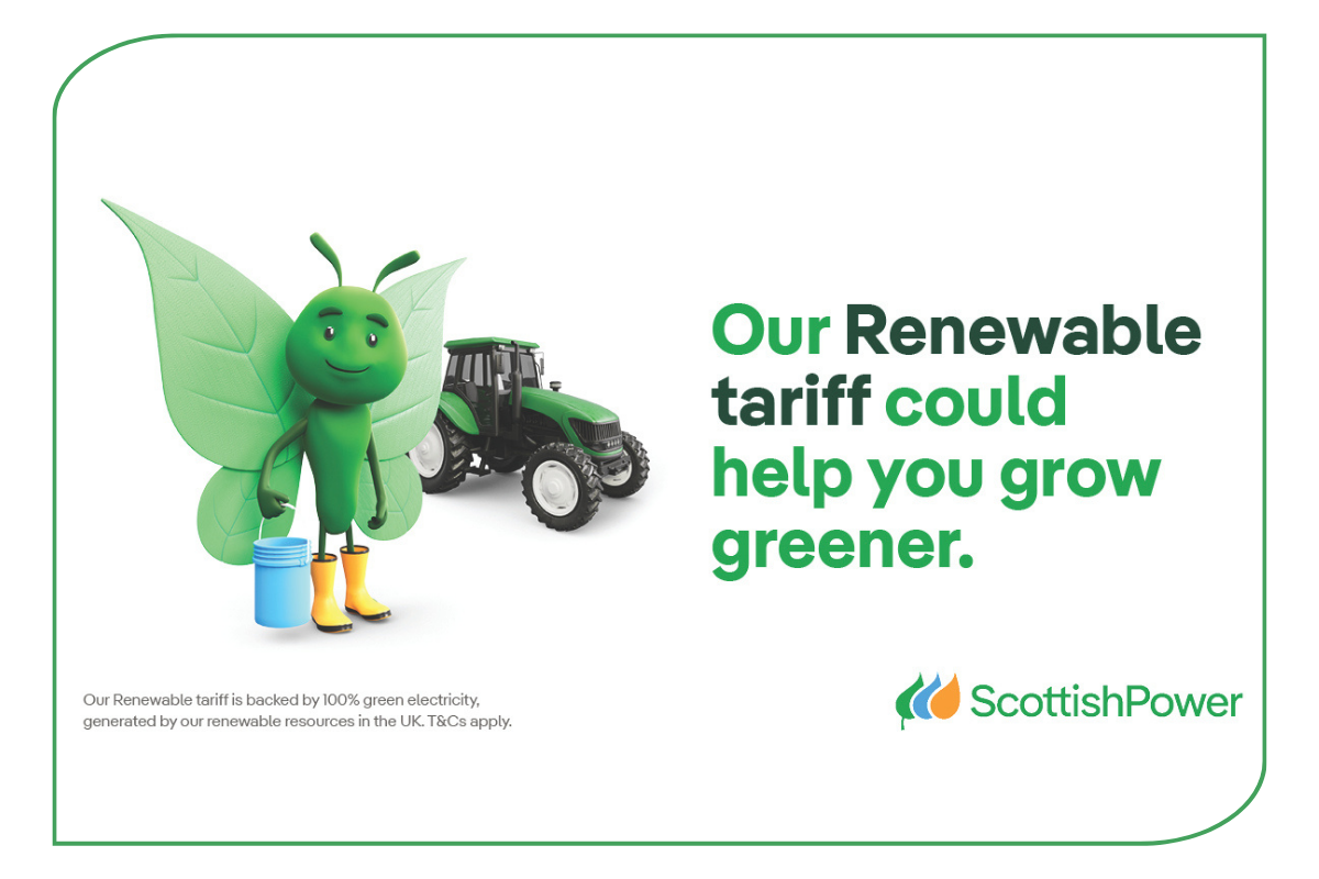 ScottishPower 30